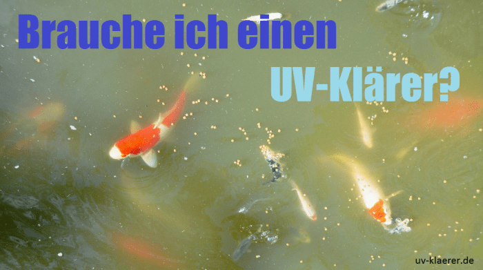Teich Koi Schwebealgen grünes Wasser uv-klaerer.de UVC Teichfilter Druckfilter Durchlauffilter
