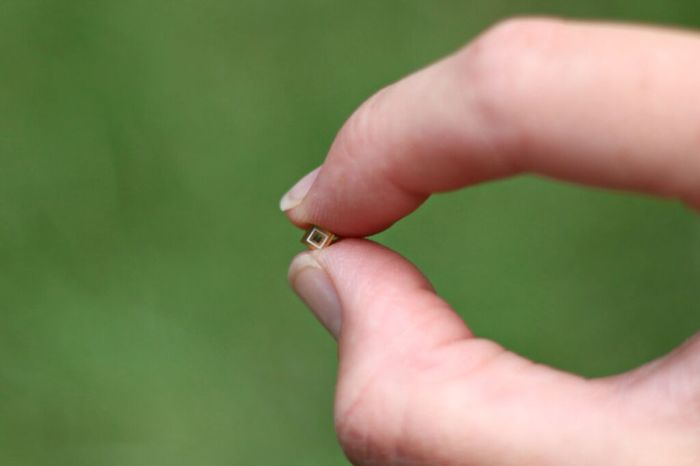 uvc_led_originalgroesse_uv_klaerer_uvc_keime_bakterien_parasiten_aquarium_teich_wasserentkeimer