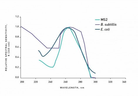 Spezifische Absorptionsspektren von Mikroorganismen im UV Bereich