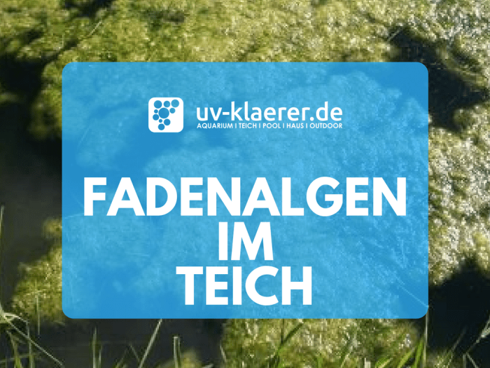 Fadenalgen im Teich UVC Klärer klares Wasser im Teich