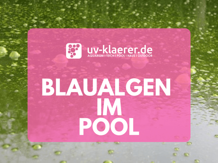 Blaualgen im Pool UVC Klärer klares Wasser im Pool