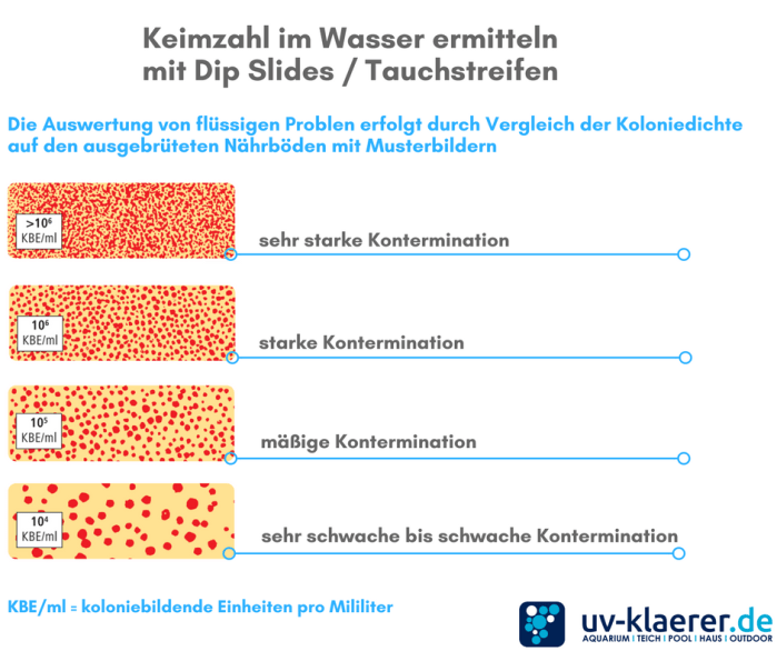 Tauchstreifen Dip Slides mit Musterbildern vergleichen und auswerten und Keimanzahl im Wasser ermitteln