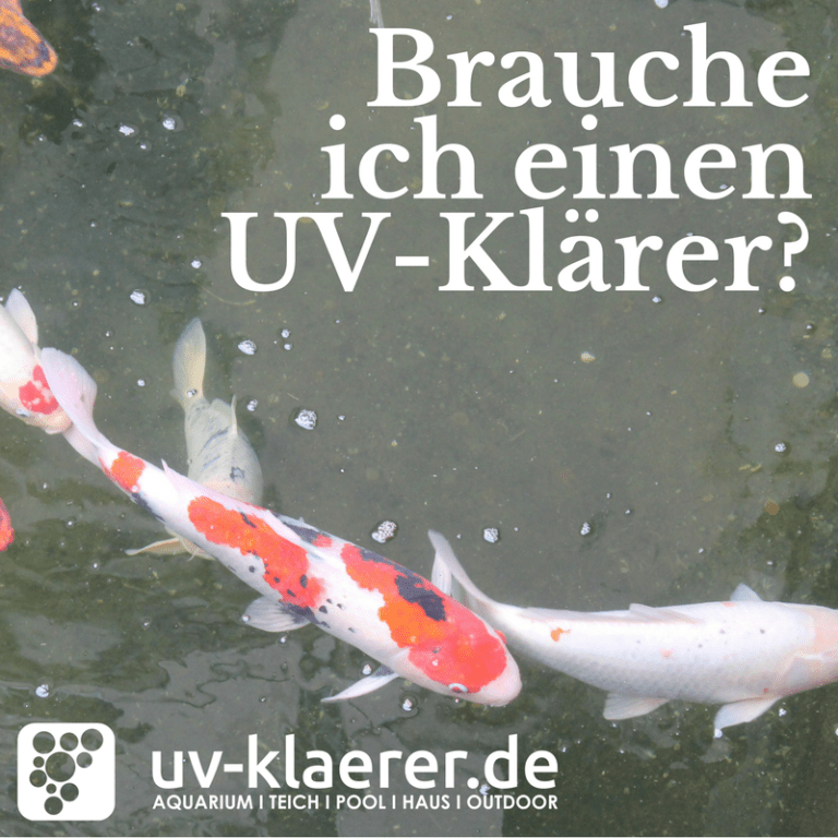 Fadenalgen im Teich UVC Klärer klares und keimfreies Wasser im